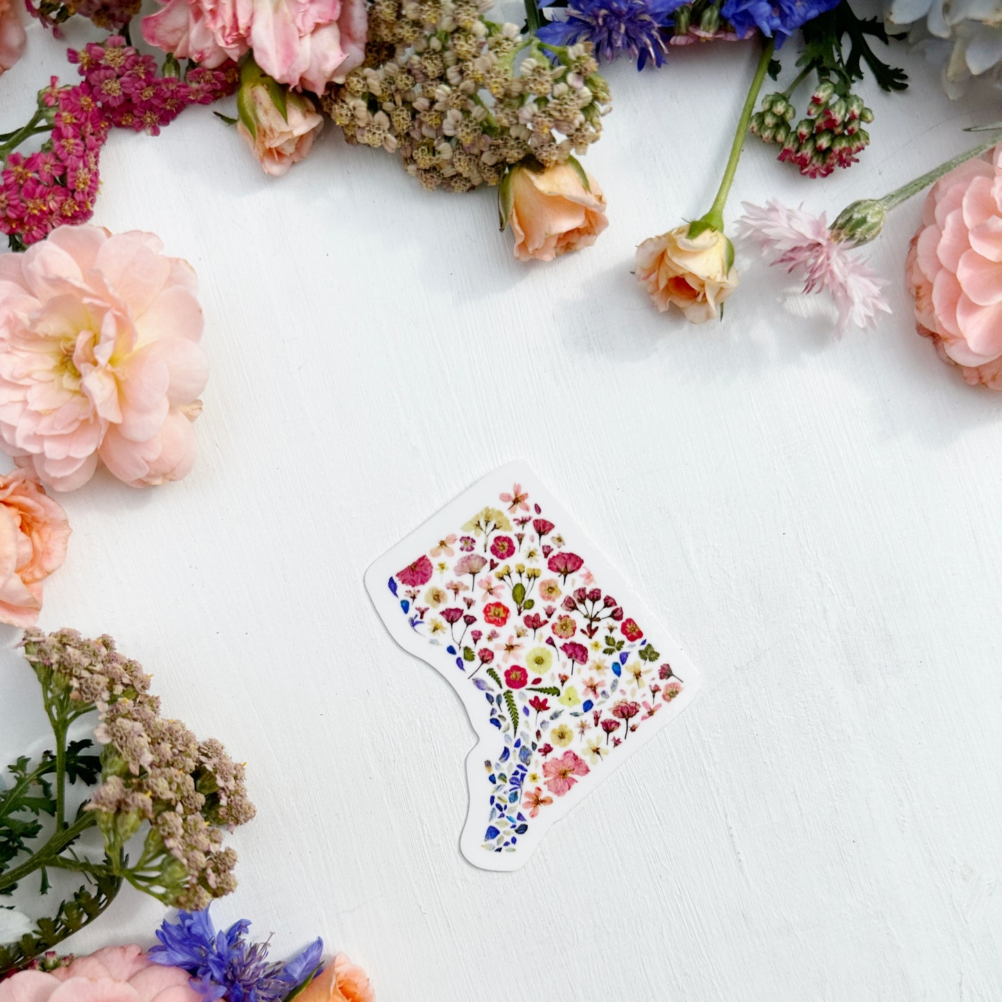 DC in Bloom Sticker - Washington DC 2.5in sticker
