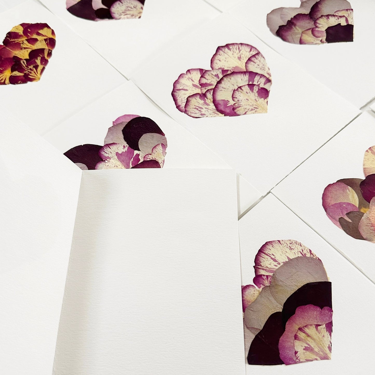 Pressed Flower Workshops
