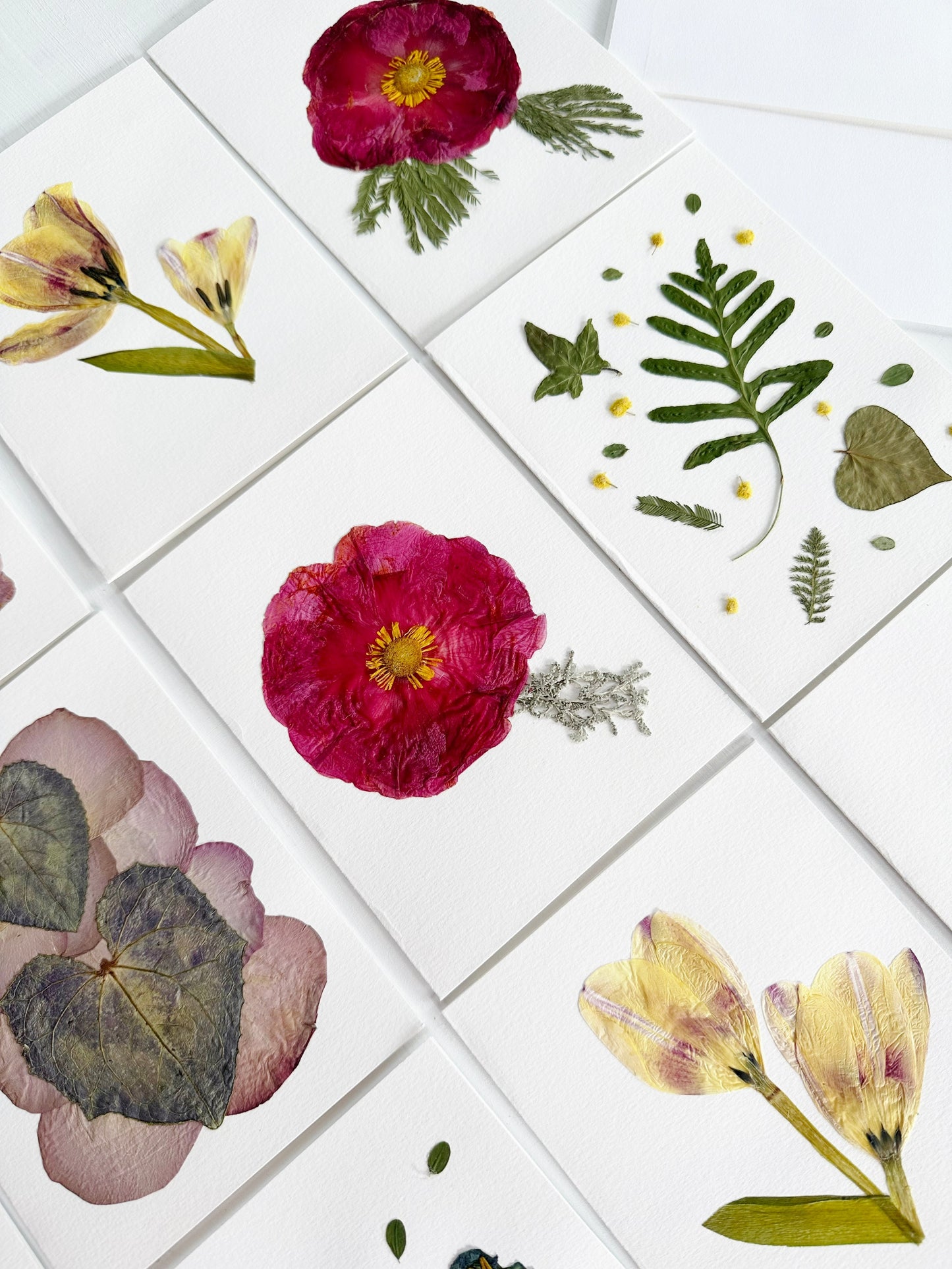 Pressed Flower Workshops