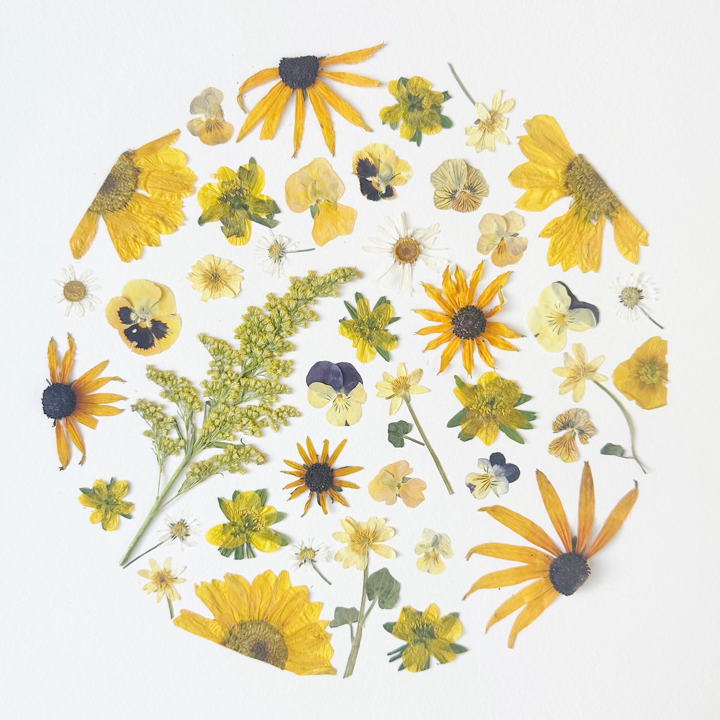 Personalized Pressed Flower Art