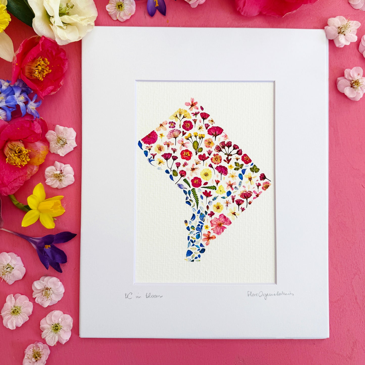 DC in Bloom signed matted print of Washington DC in pressed flowers