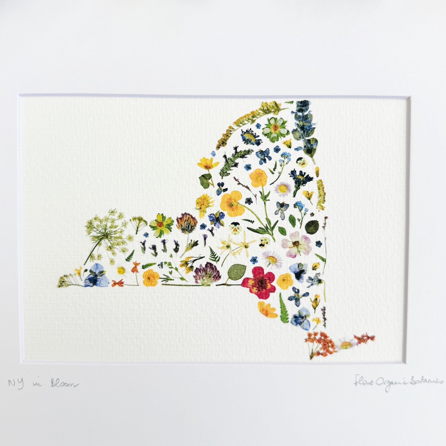The Empire State signed matted print of New York State in pressed flowers