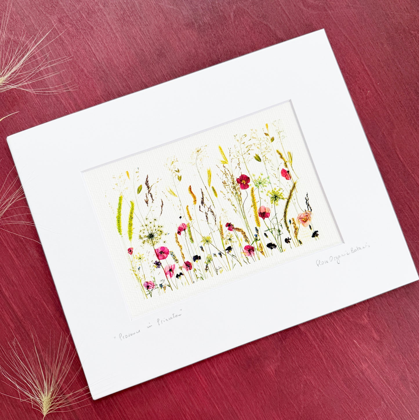 Provence in Princeton signed matted print of pressed flowers and grasses