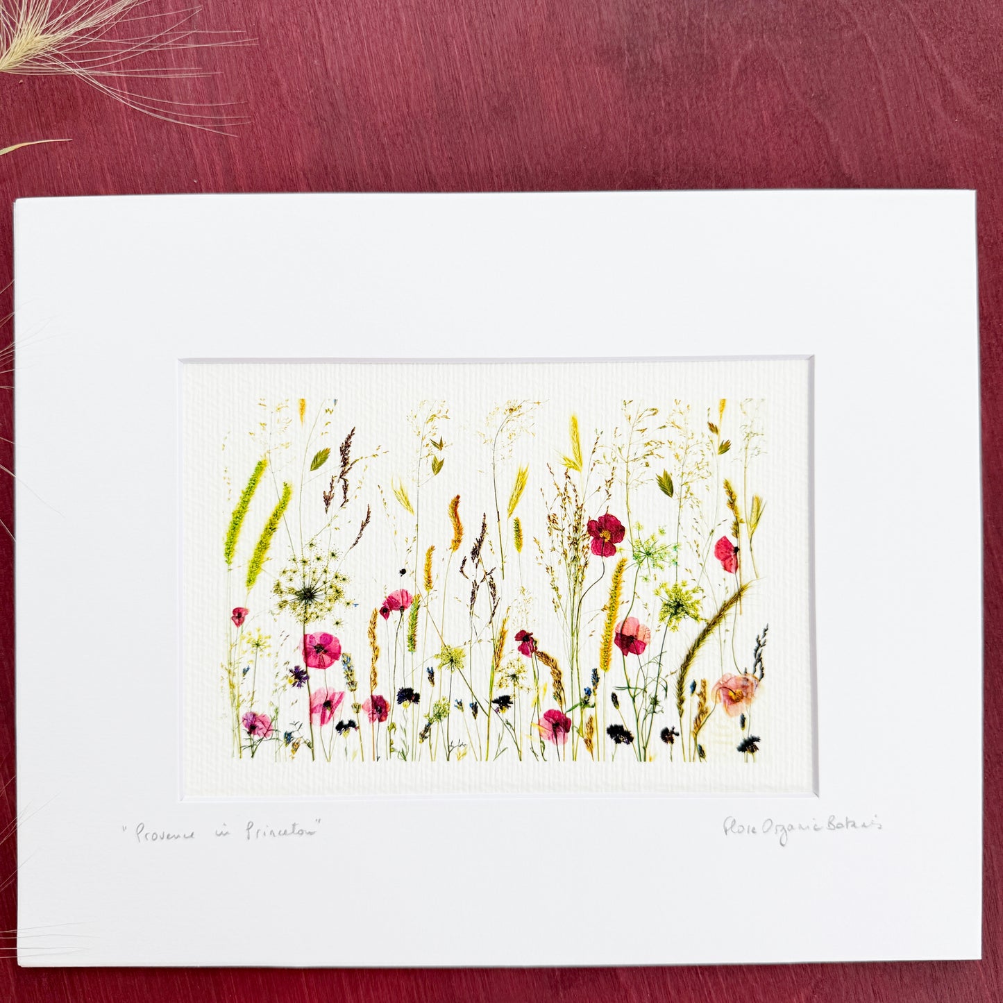 Provence in Princeton signed matted print of pressed flowers and grasses