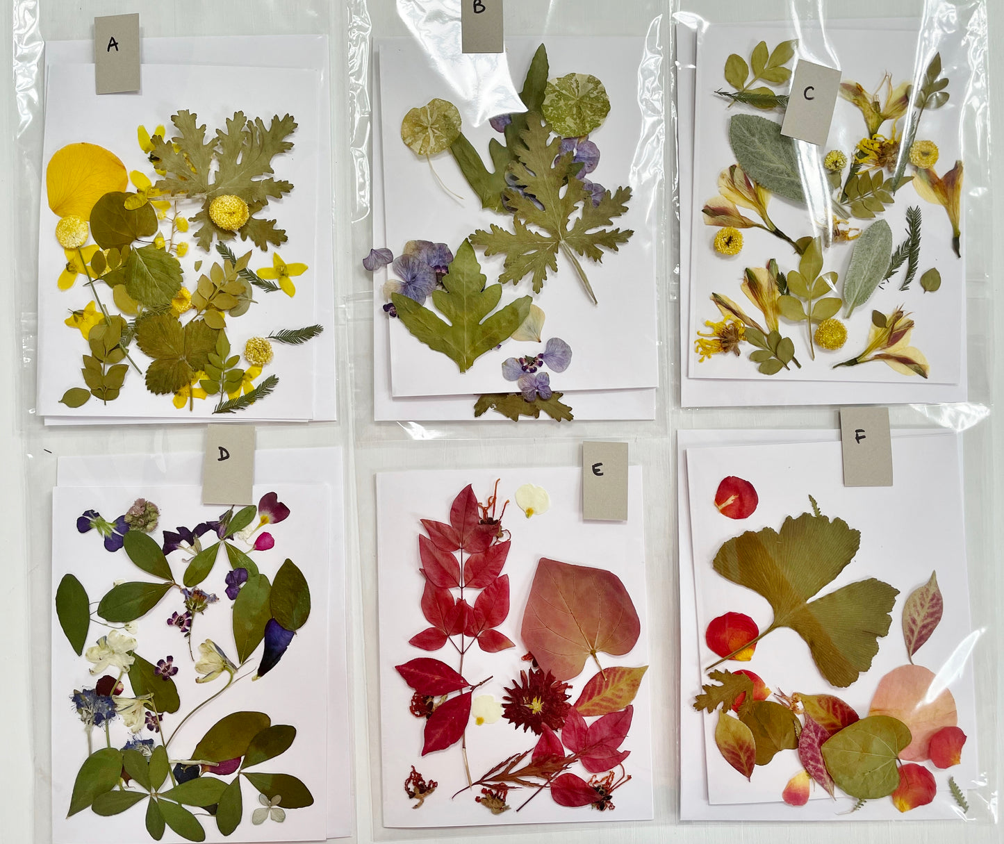 DIY Pressed Flower Card