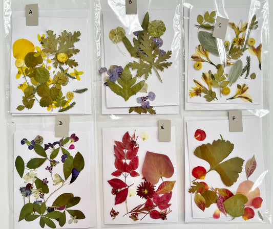 DIY Pressed Flower Card