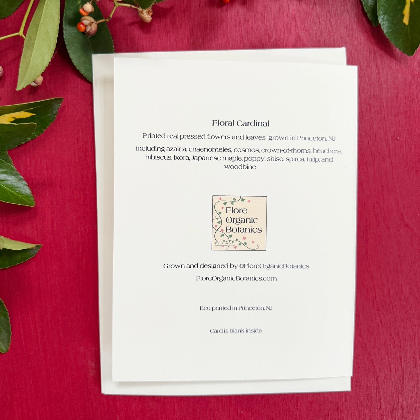 Floral Cardinal Card