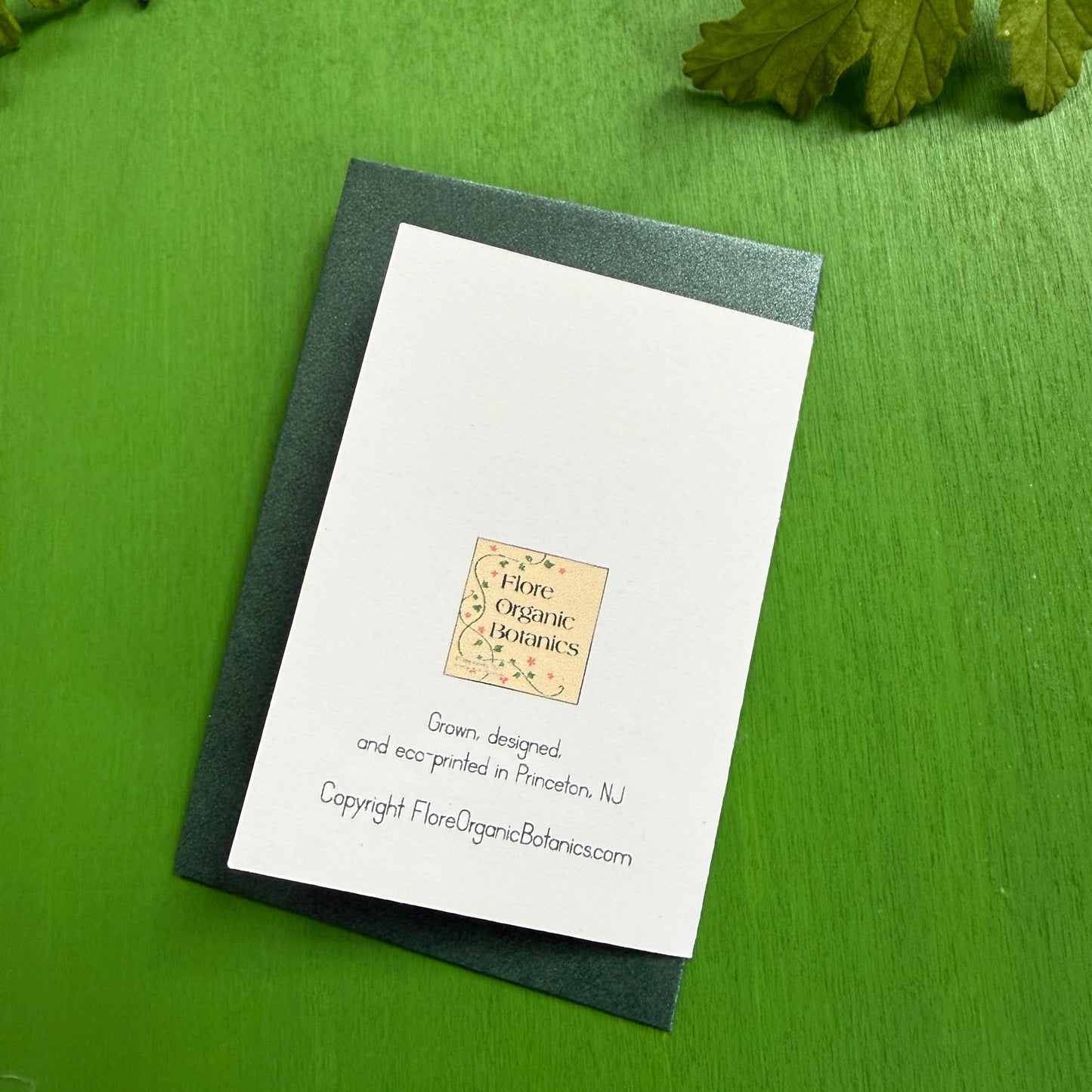 Cactus Mini Note Cards (Set of 8)