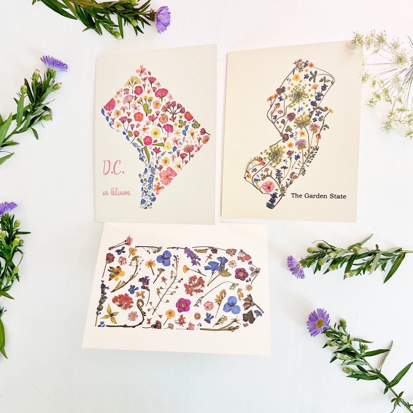 Pennsylvania Wildflowers Greeting Card