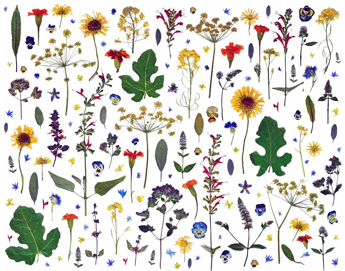 Personalized Pressed Flower Art