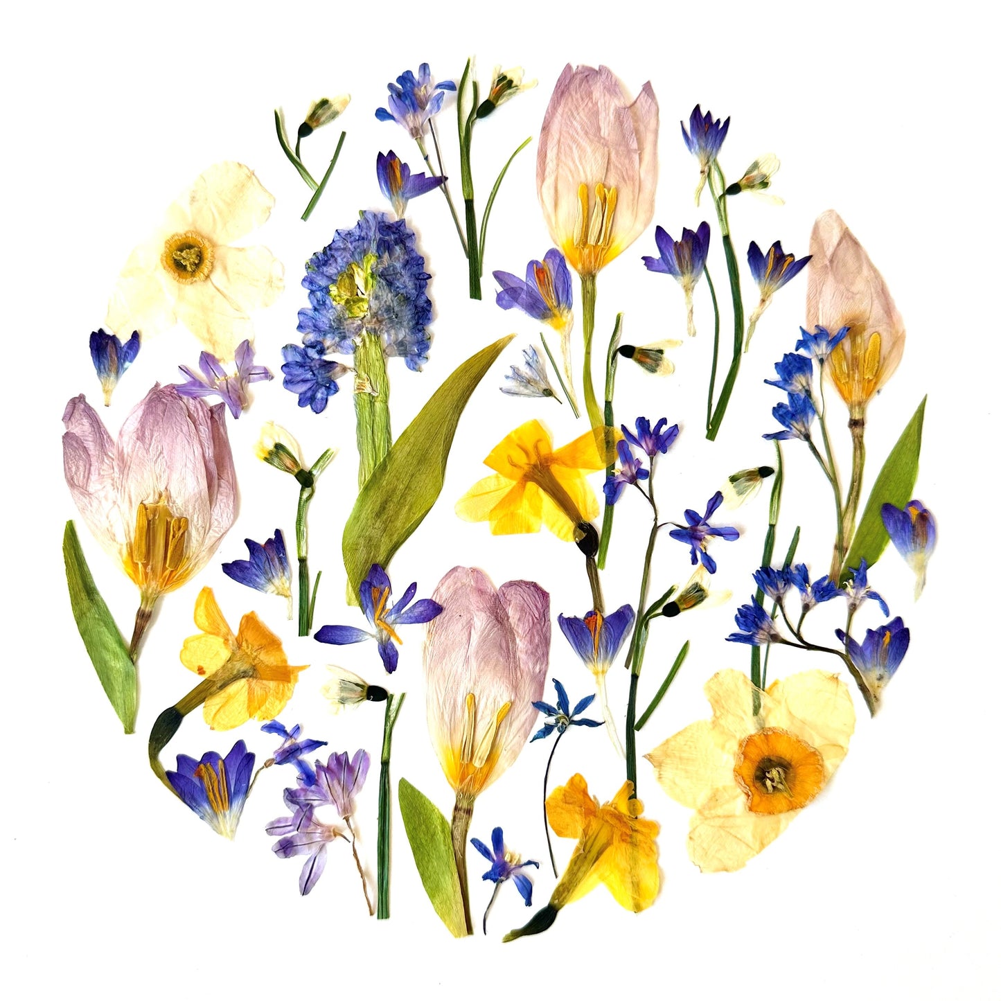 Personalized Pressed Flower Art