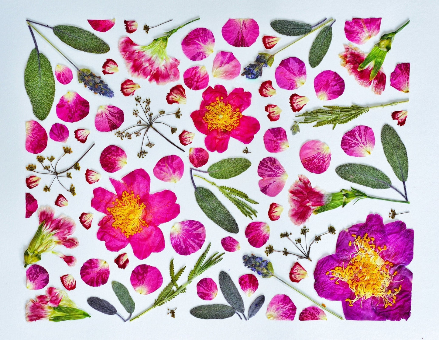 Personalized pressed flower art - real flower collage - customizable - birth flowers - choose flowers, color, shape - gift made to order