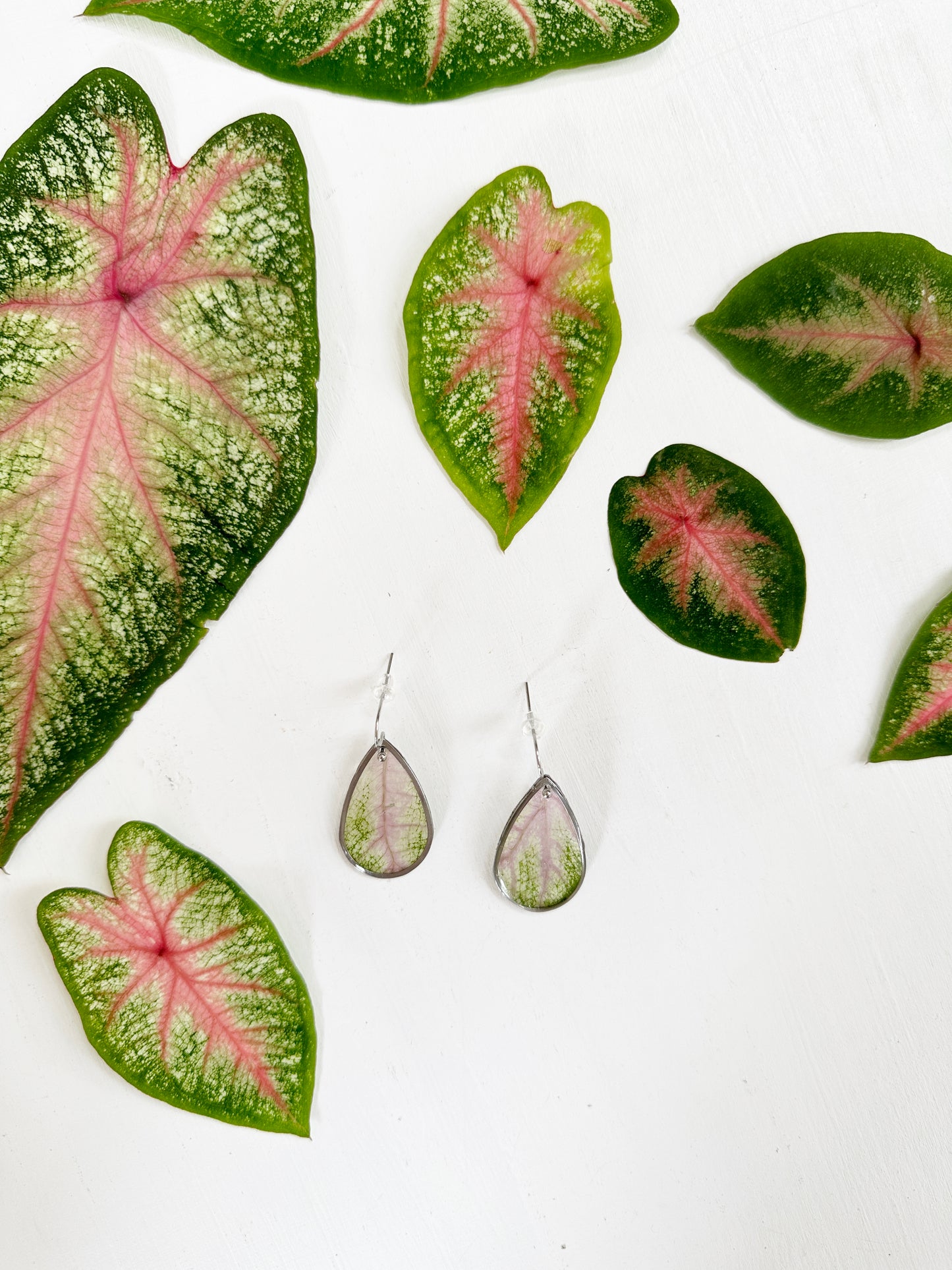 Elephant ear earrings with real pink and green leaves