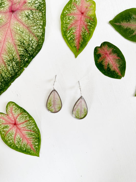 Elephant ear earrings with real pink and green leaves