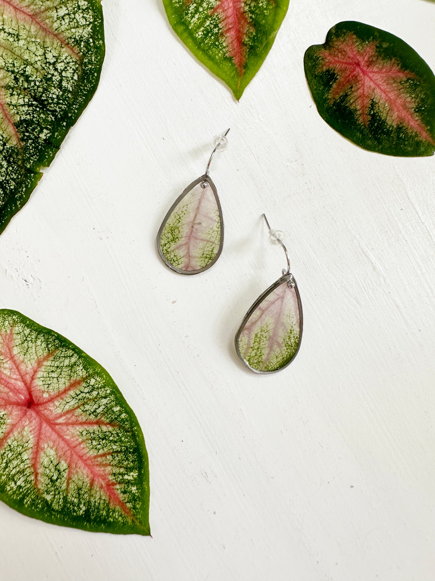 Elephant ear earrings with real pink and green leaves