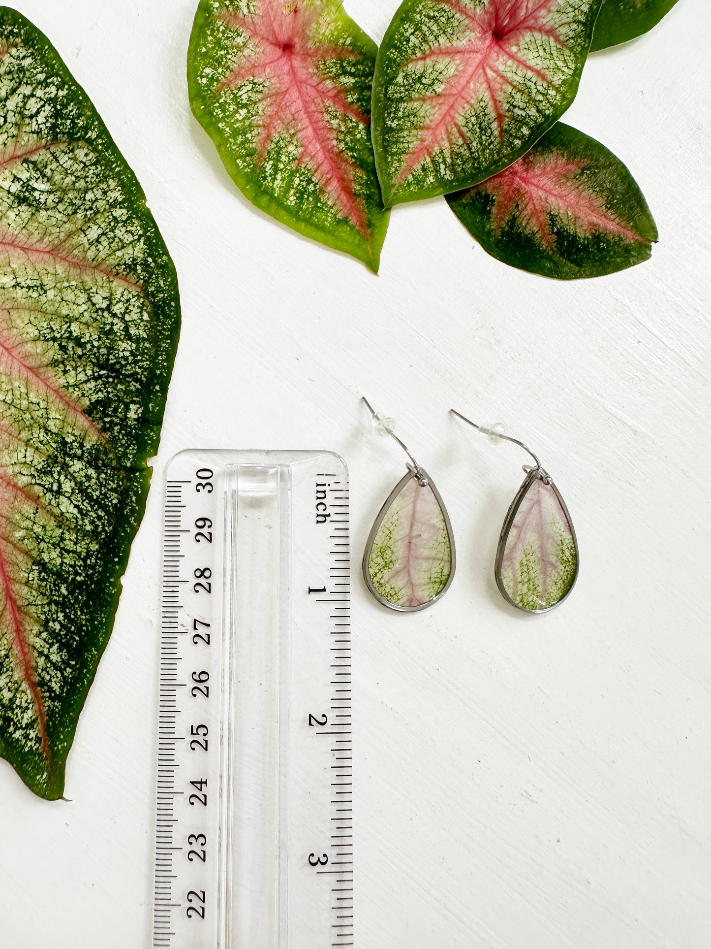 Elephant ear earrings with real pink and green leaves