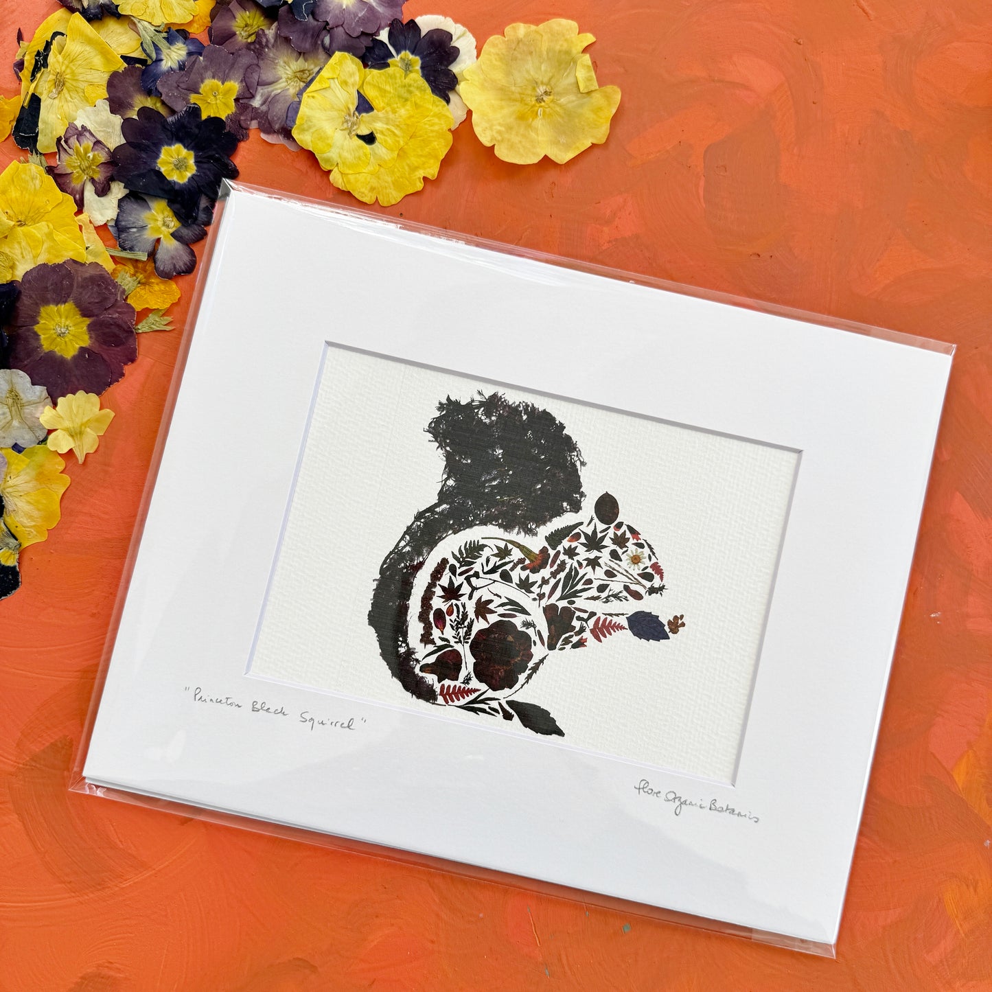 Princeton Black Squirrel - signed matted print