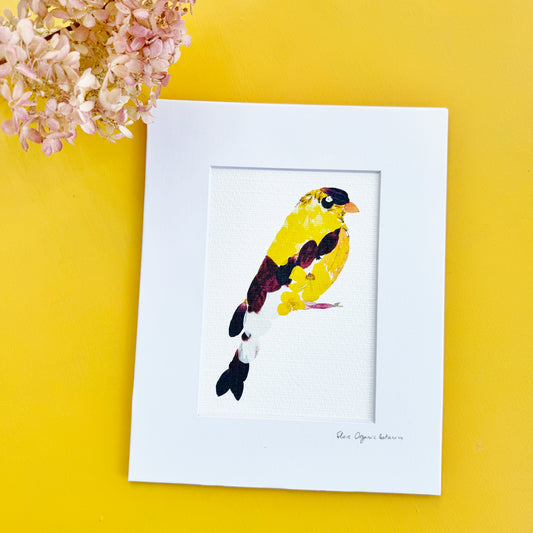 Floral Goldfinch - signed matted print