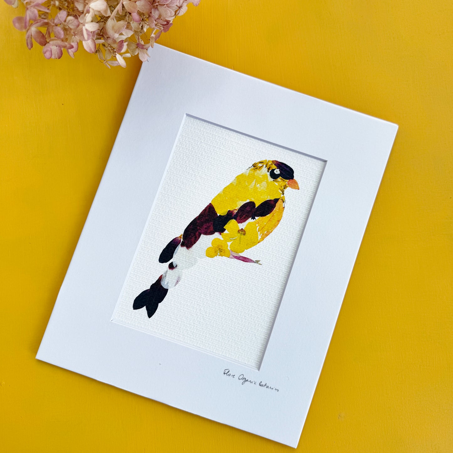 Floral Goldfinch - signed matted print