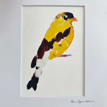 Floral Goldfinch - signed matted print