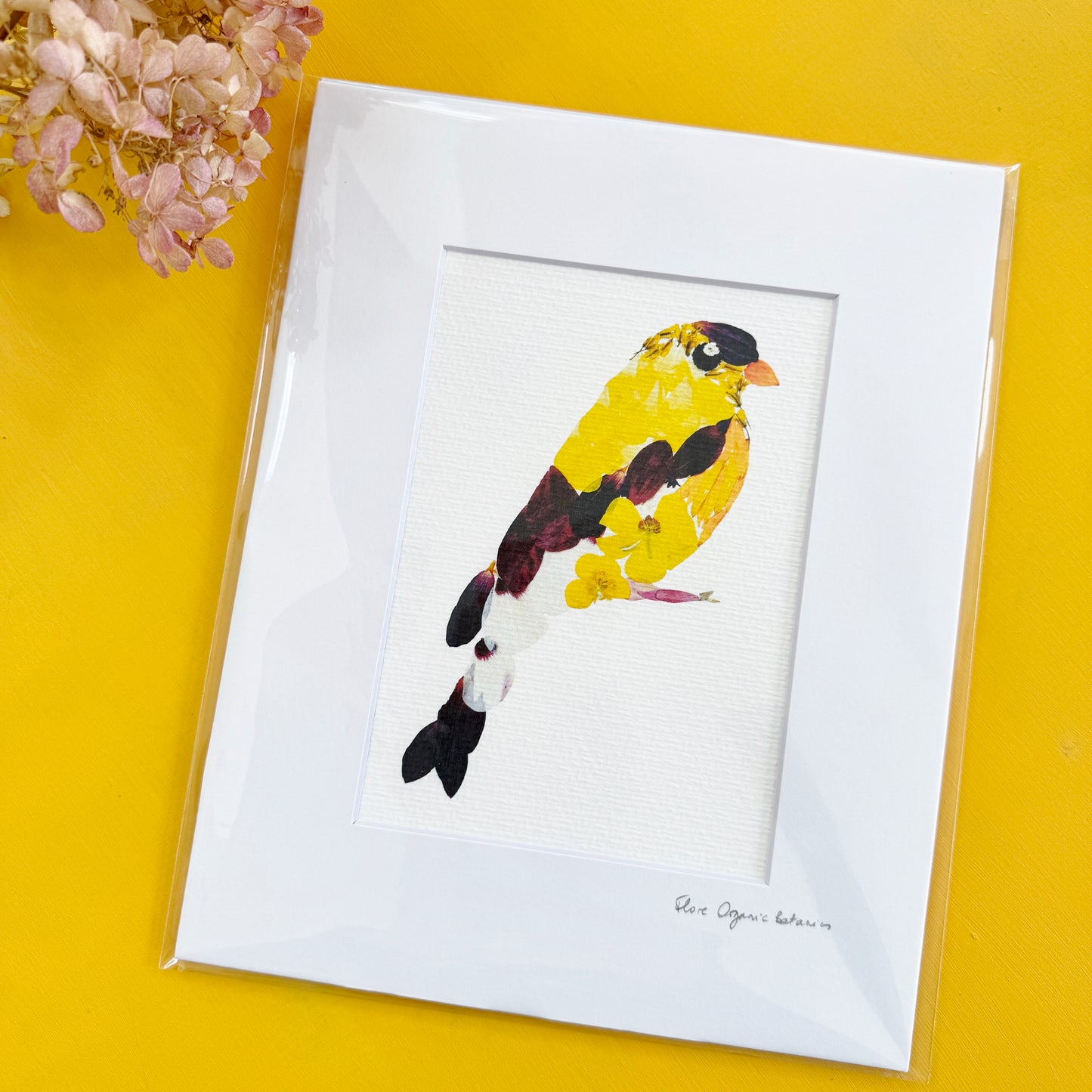 Floral Goldfinch - signed matted print