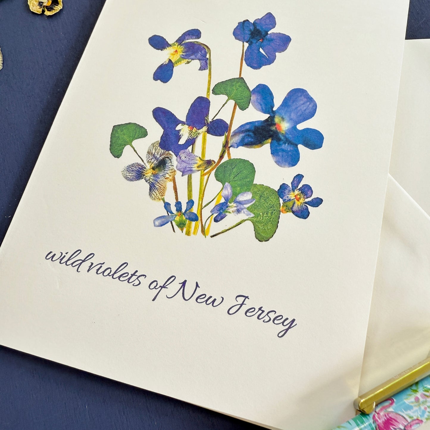 Wild Violets of New Jersey card