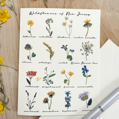 Wildflowers of New Jersey card