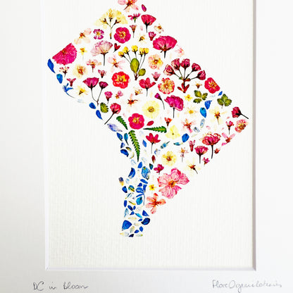 DC in Bloom signed matted print of Washington DC in pressed flowers