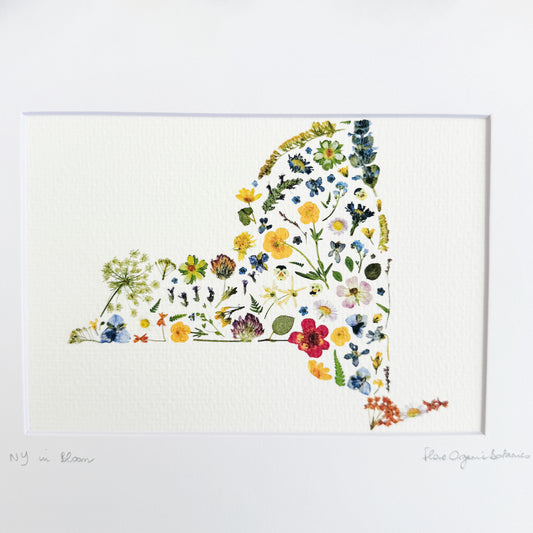The Empire State signed matted print of New York State in pressed flowers