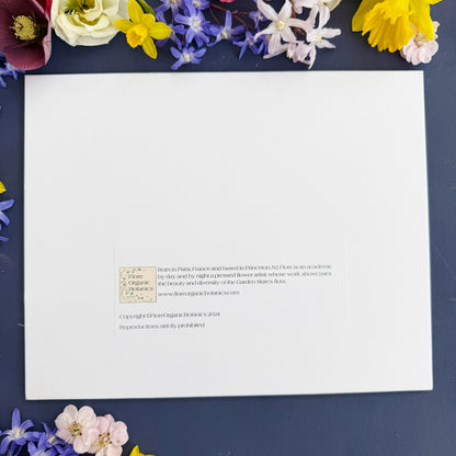 DC in Bloom signed matted print of Washington DC in pressed flowers