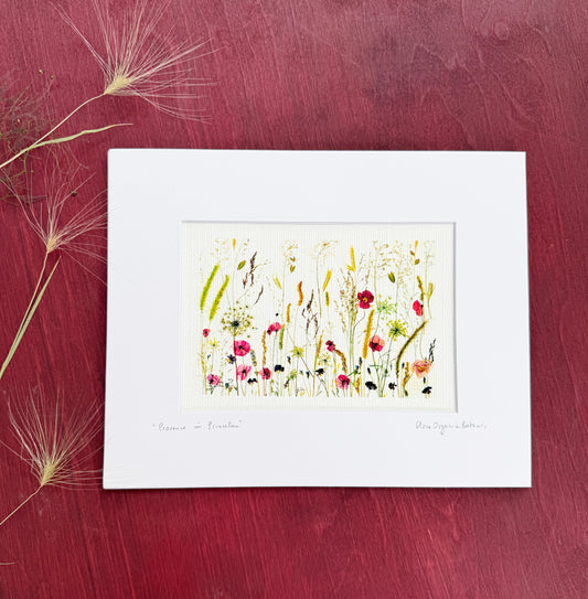 Provence in Princeton signed matted print of pressed flowers and grasses