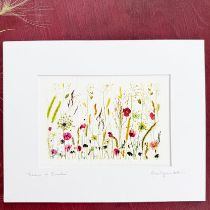 Provence in Princeton signed matted print of pressed flowers and grasses