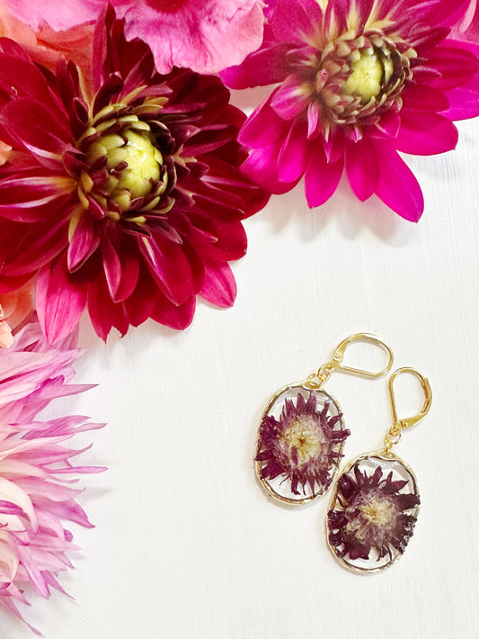 Chrysanthemum Earrings in Golden Frame