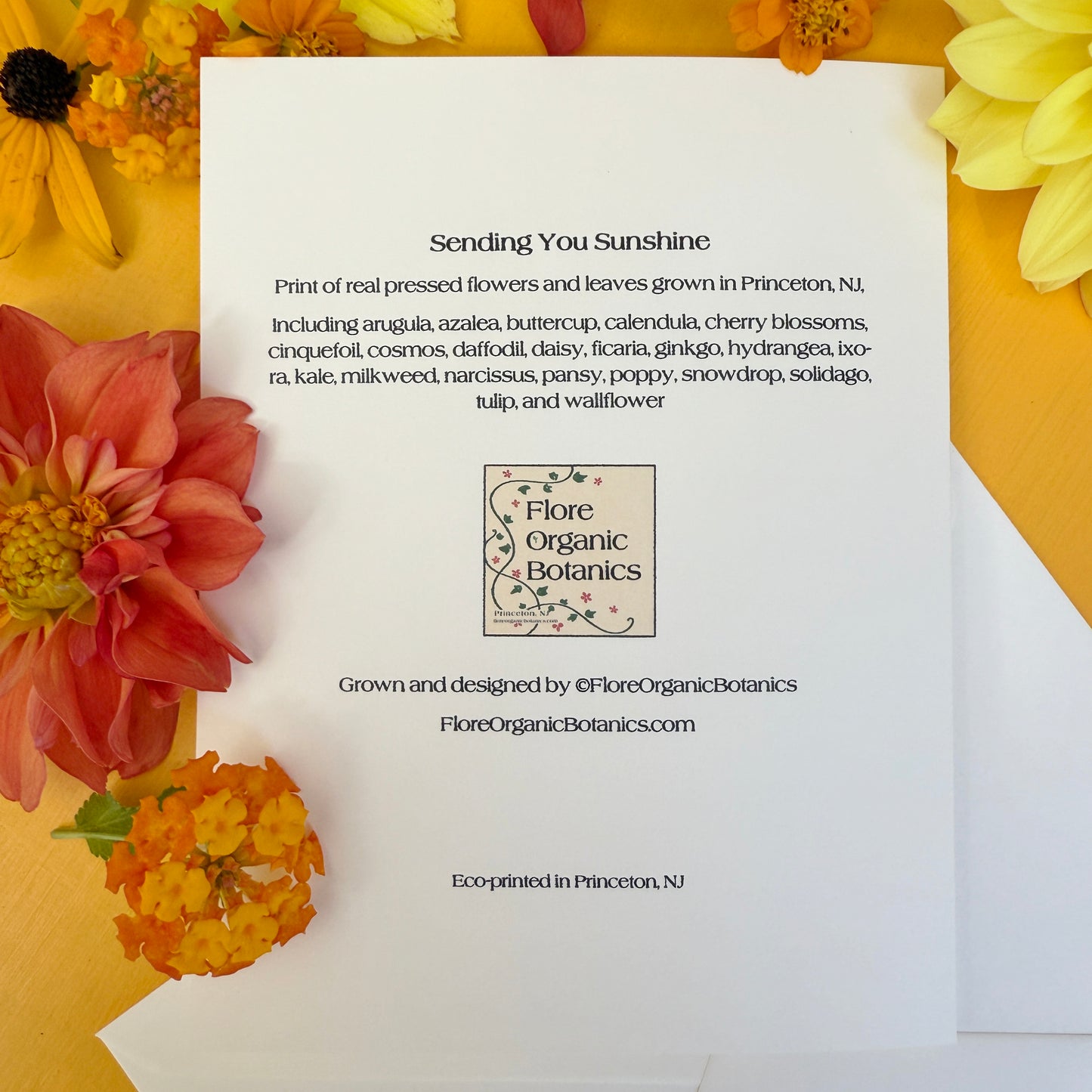 Sending You Sunshine printed pressed flowers card