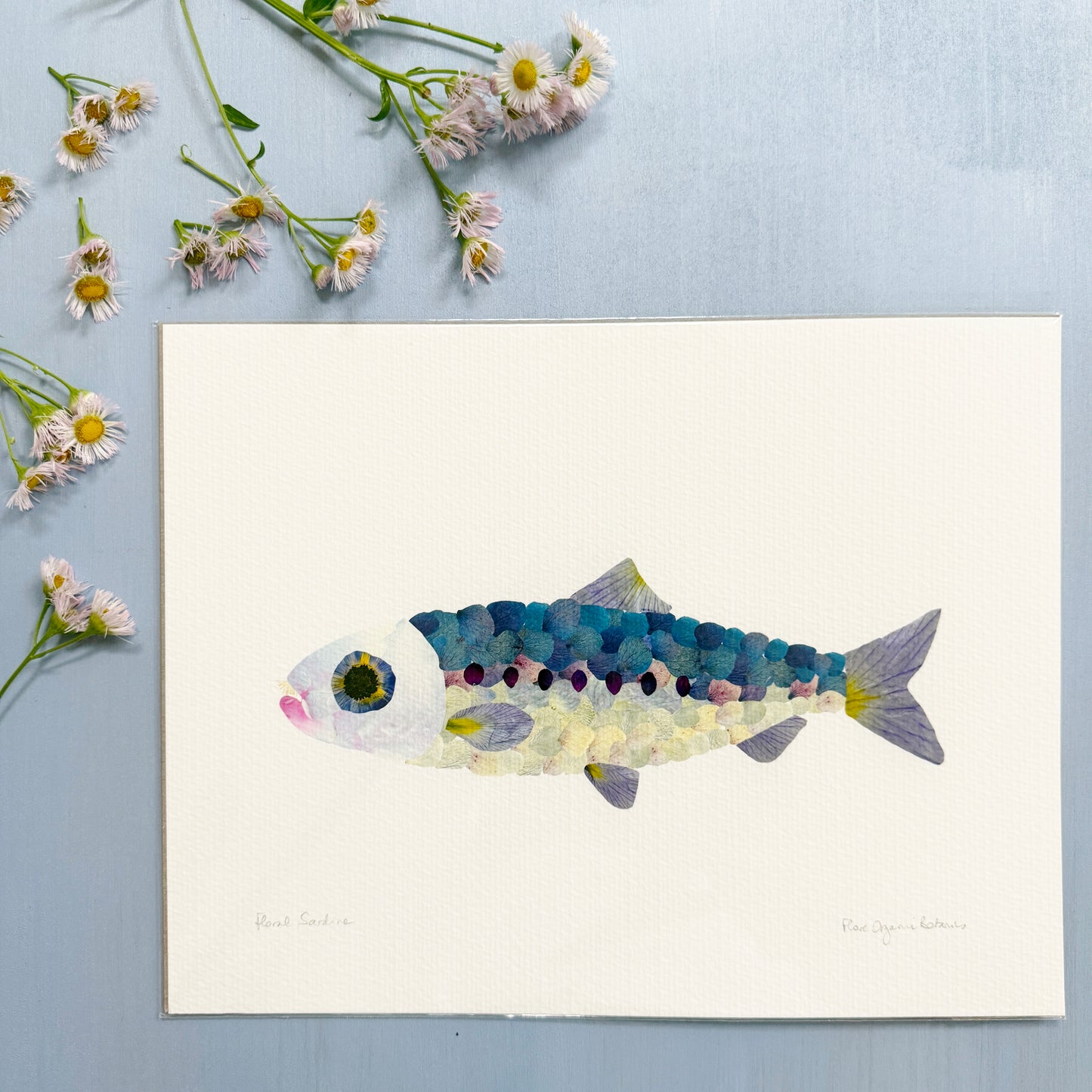Sardine Summer Floral Print
