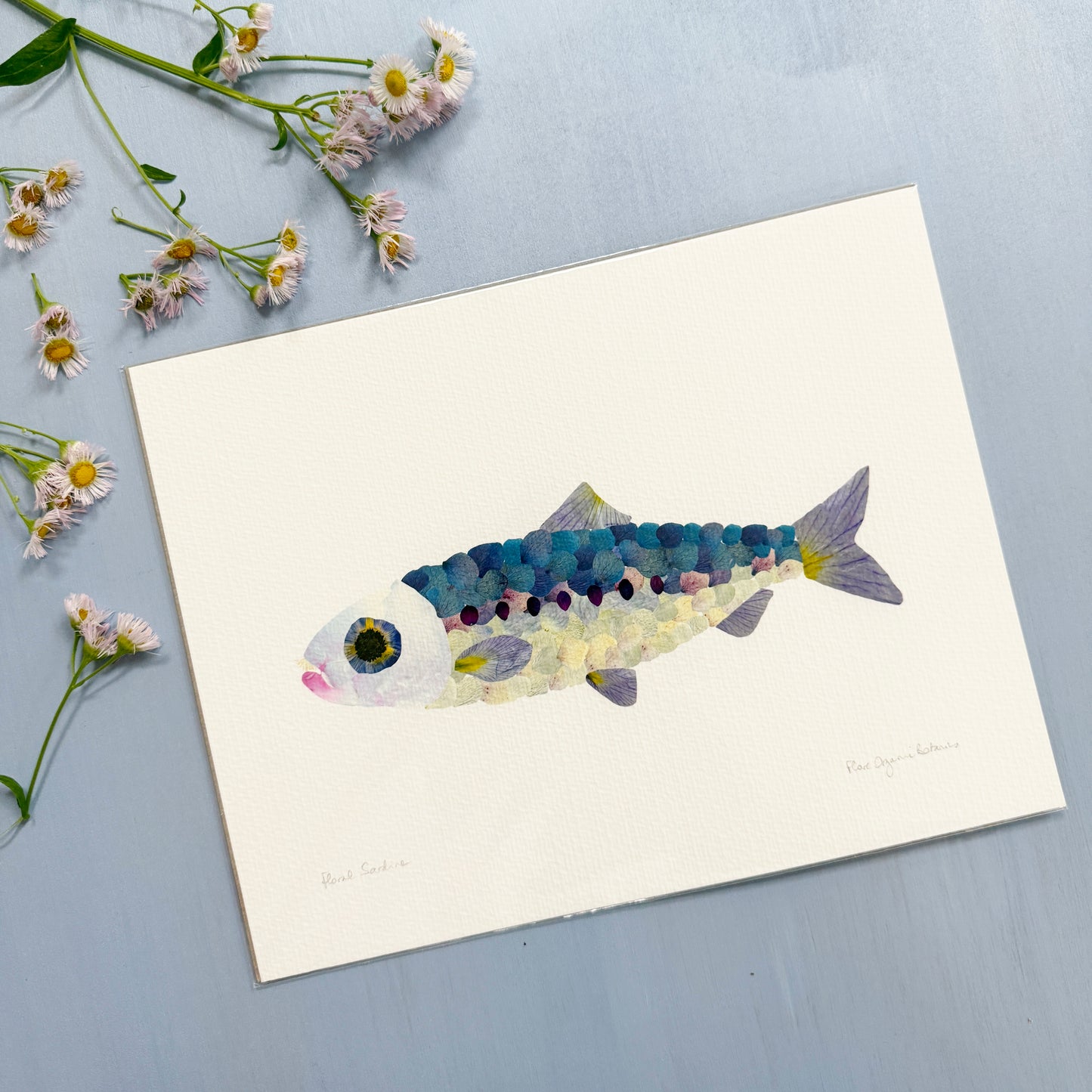 Sardine Summer Floral Print