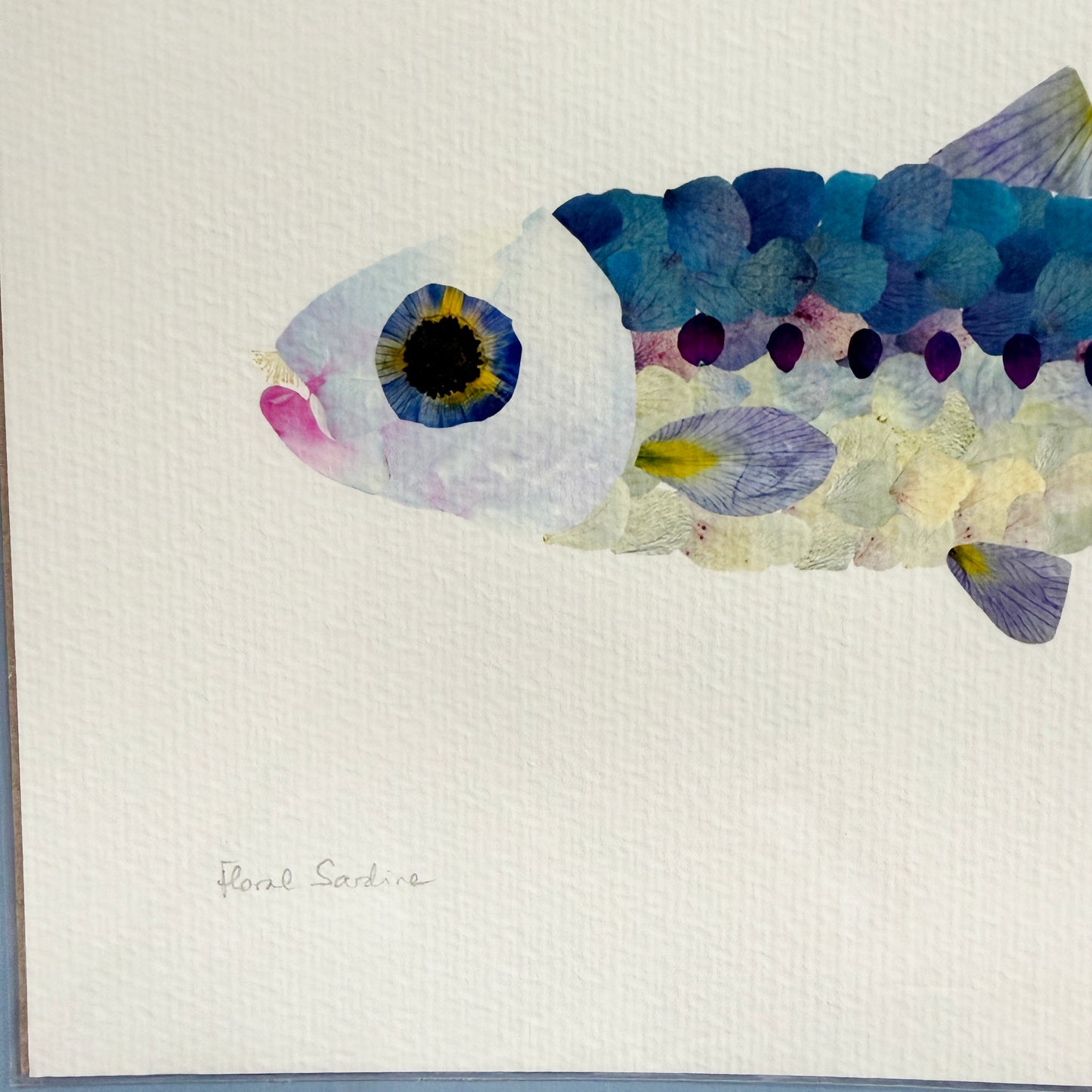 Sardine Summer Floral Print