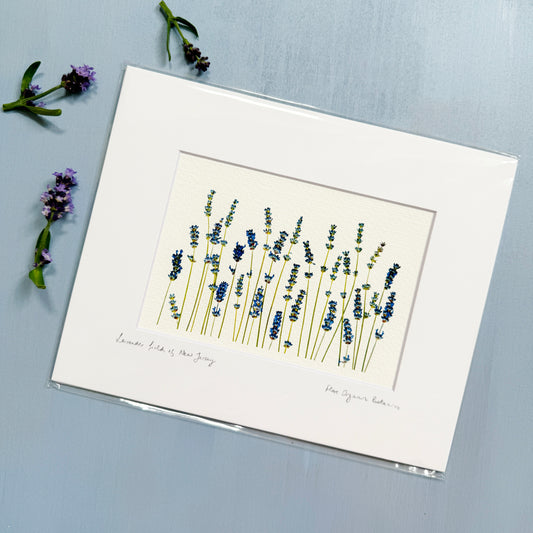 Lavender Fields Matted Print