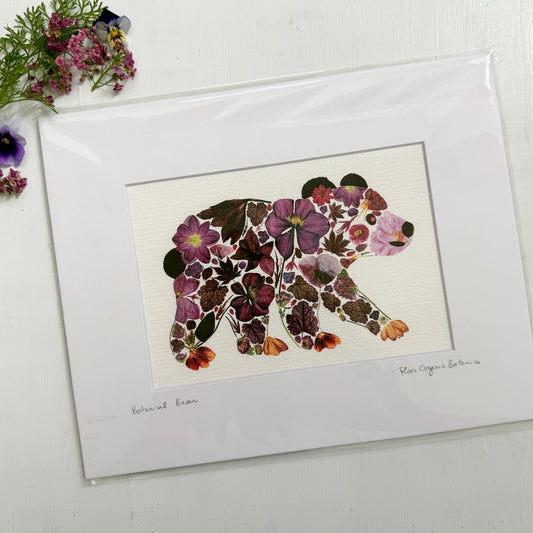 Botanical Bear Matted Print
