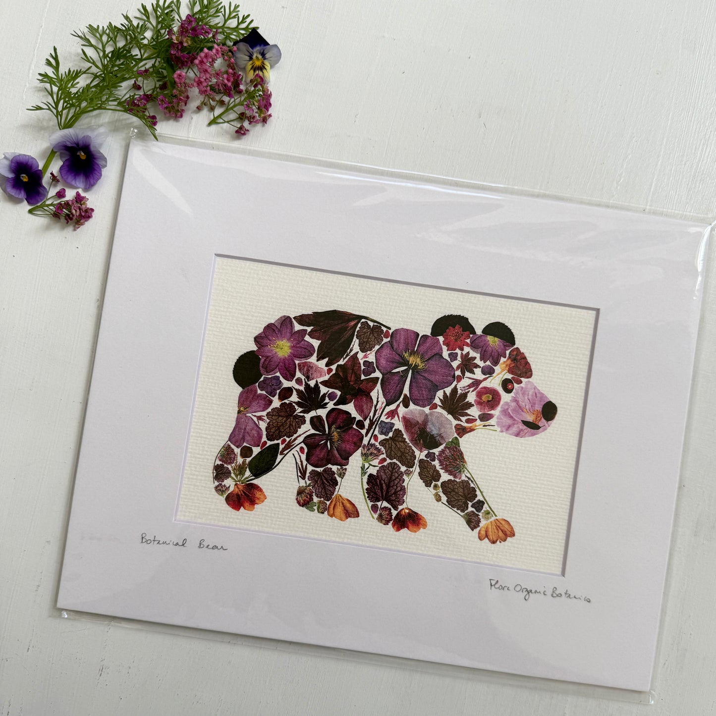 Botanical Bear Matted Print