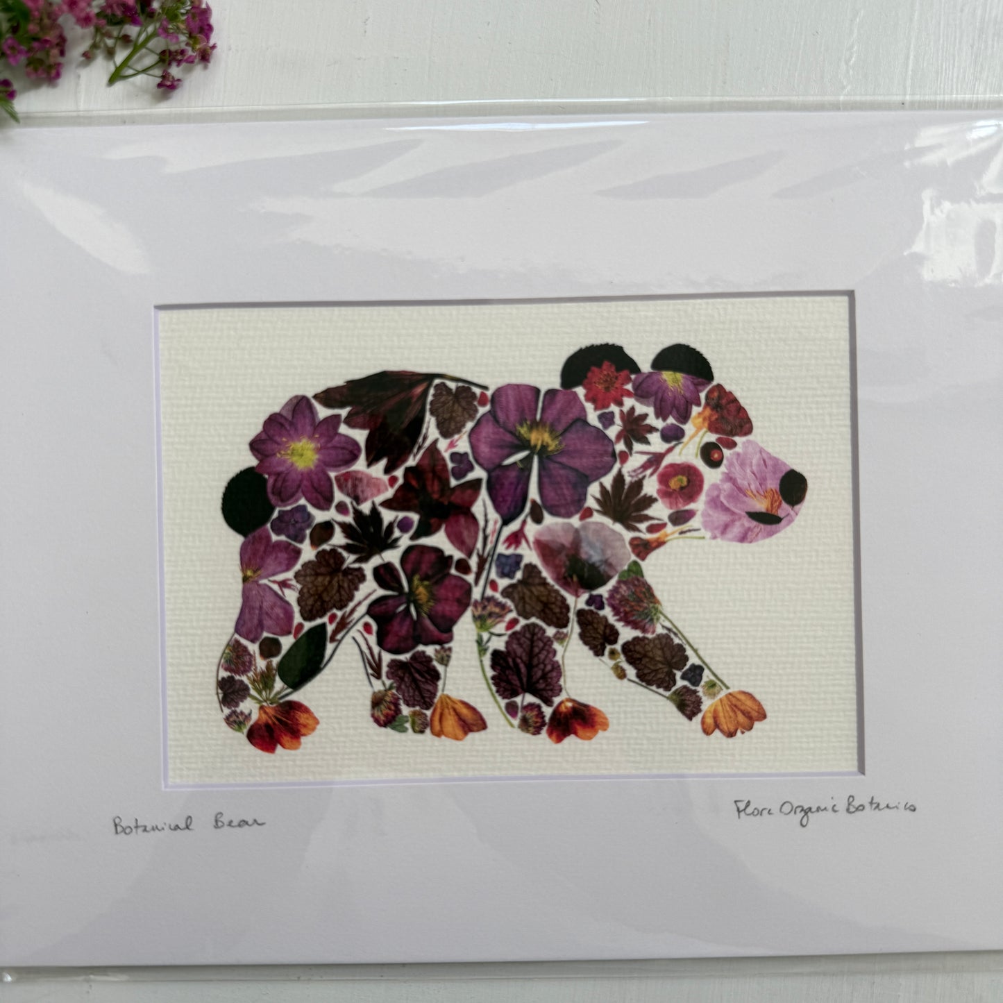 Botanical Bear Matted Print