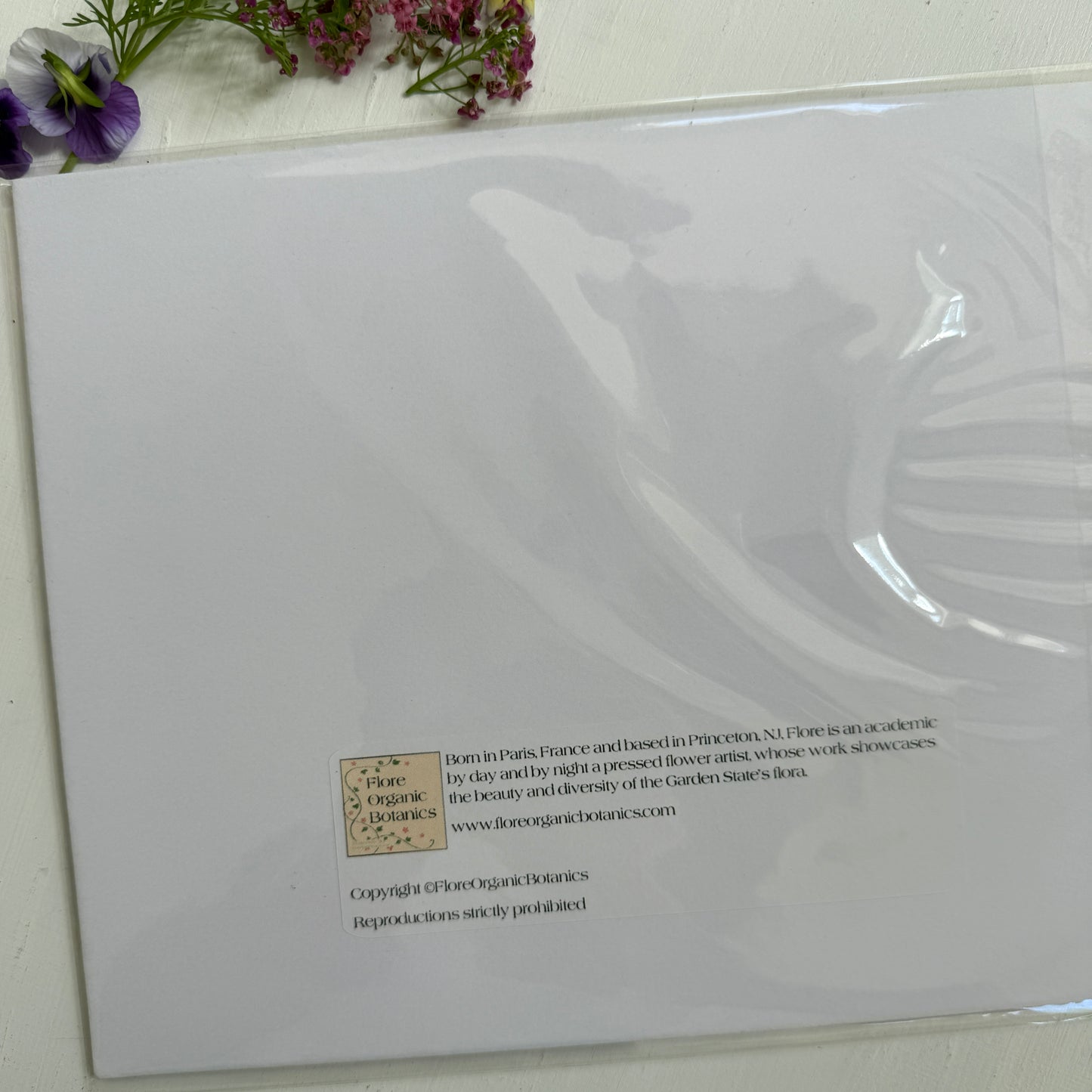 Botanical Bear Matted Print