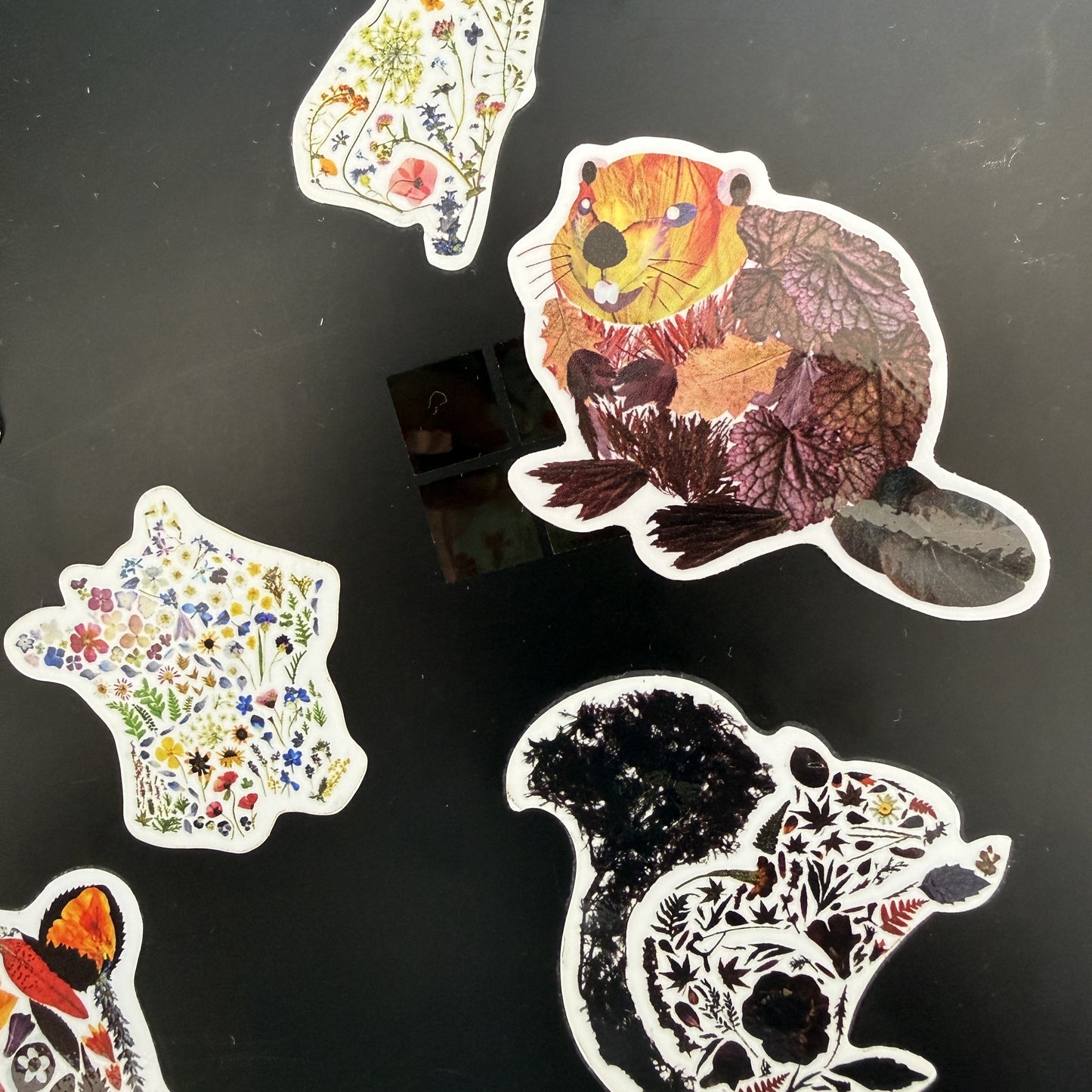 Cute Floral Beaver Sticker