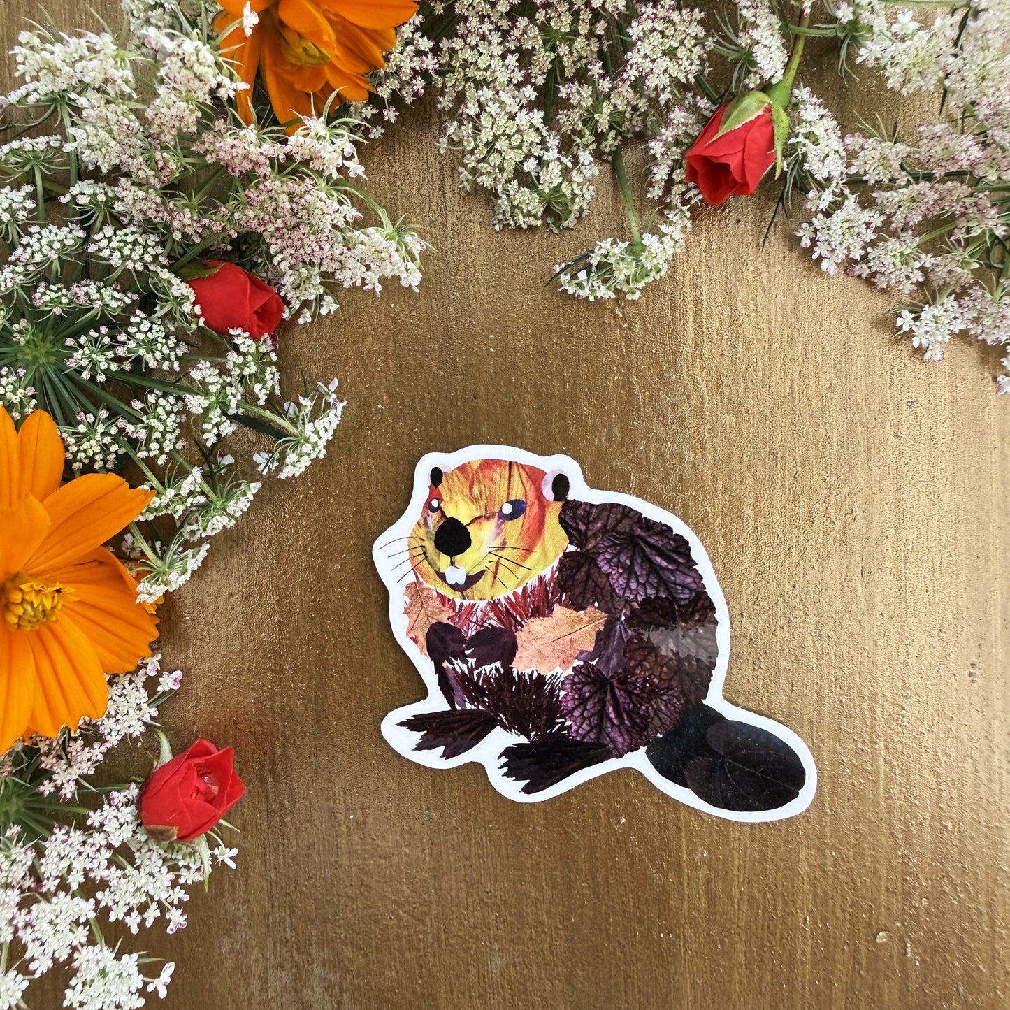 Cute Floral Beaver Sticker