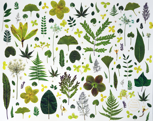 "La Vie en Vert" Botanical Art Collage