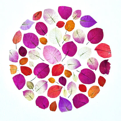 Personalized Pressed Flower Art