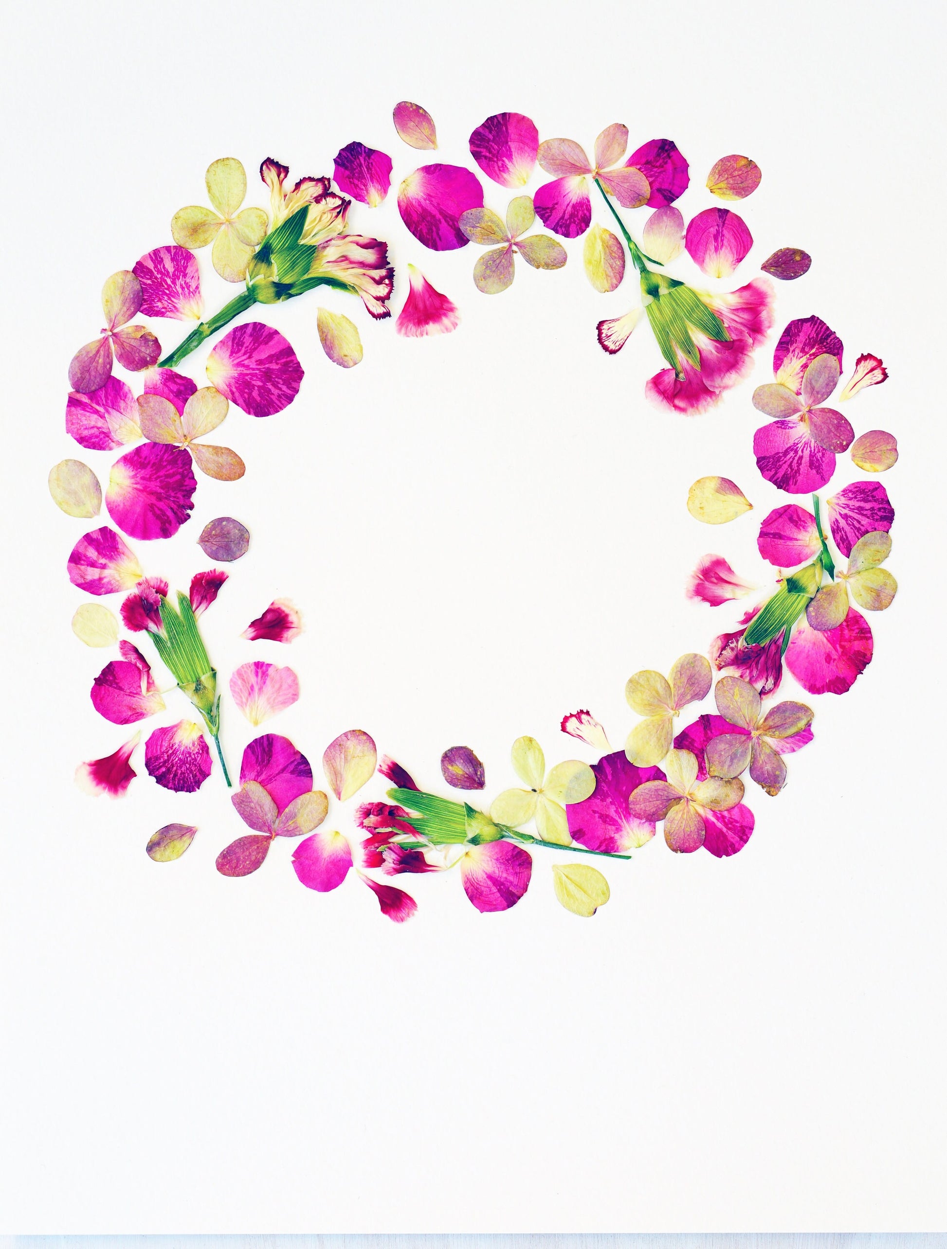 Personalized Pressed Flower Art – FloreOrganicBotanics